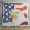 American Flag with Eagle -ruler - MG_9458 copy