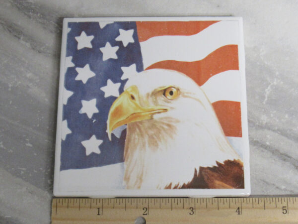American Flag with Eagle -ruler - MG_9458 copy
