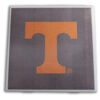 Orange Power T on Gray Background - White - IMG_9482 copy