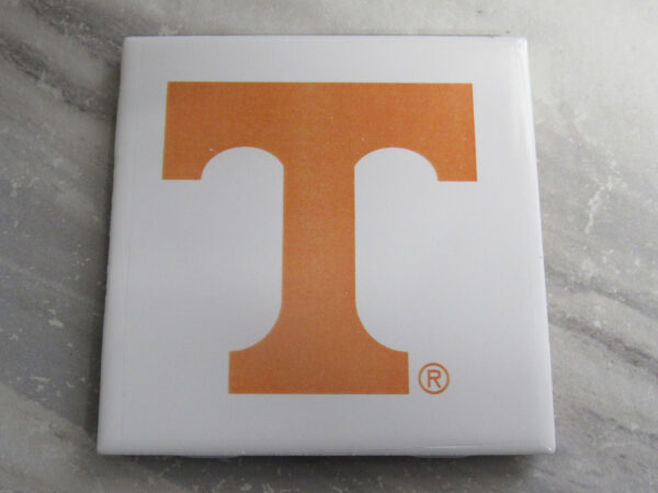 Orange Power T on white - IMG_9489 copy