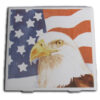 United States Flag with Eagle - white - IMG_9453 copy